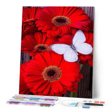 Afbeelding in Gallery-weergave laden, Diamond Painting - Rode madeliefjes en witte vlinder dieren, vlinders, Diamond Painting Dieren, Diamond Painting Bloemen, bloemen