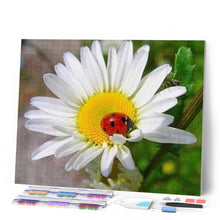 Afbeelding in Gallery-weergave laden, Diamond Painting - Lieveheersbeestje en Margriet dieren, Diamond Painting Dieren, Diamond Painting Bloemen, bloemen