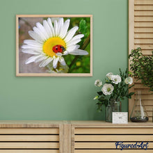 Afbeelding in Gallery-weergave laden, Diamond Painting - Lieveheersbeestje en Margriet dieren, Diamond Painting Dieren, Diamond Painting Bloemen, bloemen