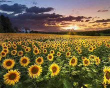 Afbeelding in Gallery-weergave laden, Diamond Painting - Zonnebloem veld Diamond Painting Bloemen, bloemen