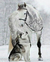 Afbeelding in Gallery-weergave laden, Diamond Painting - Paard en wolf in de sneeuw dieren, Diamond Painting Dieren, paarden, konijnen, winter, wolven