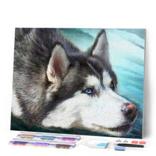 Afbeelding in Gallery-weergave laden, Diamond Painting - Husky met blauwe ogen dieren, Diamond Painting Dieren
