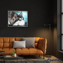 Afbeelding in Gallery-weergave laden, Diamond Painting - Husky met blauwe ogen dieren, Diamond Painting Dieren