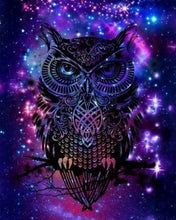 Afbeelding in Gallery-weergave laden, Diamond Painting - Uil in de nacht dieren, Diamond Painting Dieren, uilen