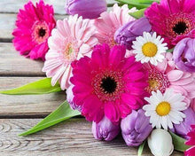 Afbeelding in Gallery-weergave laden, Diamond Painting - Kleurrijke madeliefjes Diamond Painting Bloemen, bloemen