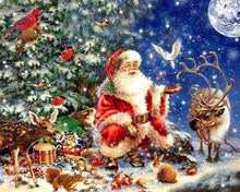 Afbeelding in Gallery-weergave laden, Diamond Painting - Kerstman en dieren dieren, Kerstmis, Diamond Painting Religie, religie