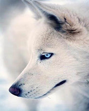 Afbeelding in Gallery-weergave laden, Diamond Painting - Husky portret dieren, Diamond Painting Dieren