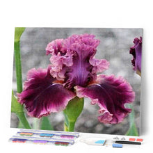 Afbeelding in Gallery-weergave laden, Diamond Painting - Irisbloem Diamond Painting Bloemen, bloemen