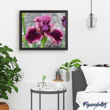 Afbeelding in Gallery-weergave laden, Diamond Painting - Irisbloem Diamond Painting Bloemen, bloemen