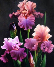 Afbeelding in Gallery-weergave laden, Diamond Painting - Bloeiende iris Diamond Painting Bloemen, bloemen