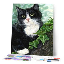 Afbeelding in Gallery-weergave laden, Diamond Painting - Zwart-witte kat dieren, katten, Diamond Painting Dieren