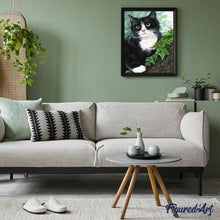 Afbeelding in Gallery-weergave laden, Diamond Painting - Zwart-witte kat dieren, katten, Diamond Painting Dieren