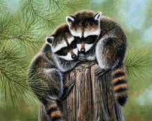 Afbeelding in Gallery-weergave laden, Diamond Painting - Neergestreken wasbeer dieren, Diamond Painting Dieren, wasberen