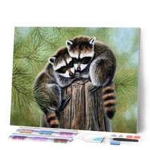 Afbeelding in Gallery-weergave laden, Diamond Painting - Neergestreken wasbeer dieren, Diamond Painting Dieren, wasberen