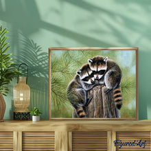 Afbeelding in Gallery-weergave laden, Diamond Painting - Neergestreken wasbeer dieren, Diamond Painting Dieren, wasberen