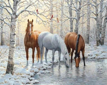 Afbeelding in Gallery-weergave laden, Diamond Painting - Drie paarden in het besneeuwde bos dieren, Diamond Painting Dieren, paarden