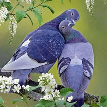 Afbeelding in Gallery-weergave laden, Diamond Painting - Duiven in liefde dieren, Diamond Painting Dieren