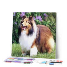 Afbeelding in Gallery-weergave laden, Diamond Painting - Collie in de tuin dieren, Diamond Painting Dieren