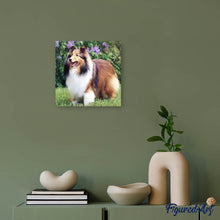 Afbeelding in Gallery-weergave laden, Diamond Painting - Collie in de tuin dieren, Diamond Painting Dieren