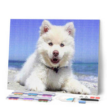 Afbeelding in Gallery-weergave laden, Diamond Painting - Hond op het strand dieren, Diamond Painting Dieren, honden