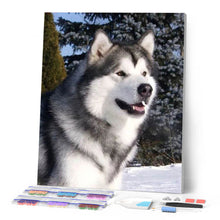 Afbeelding in Gallery-weergave laden, Diamond Painting - Husky in de winter dieren, Diamond Painting Dieren, winter
