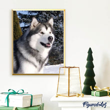 Afbeelding in Gallery-weergave laden, Diamond Painting - Husky in de winter dieren, Diamond Painting Dieren, winter