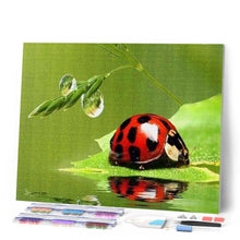 Afbeelding in Gallery-weergave laden, Diamond Painting - Kever dieren, Diamond Painting Dieren