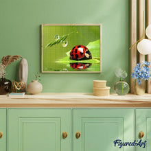 Afbeelding in Gallery-weergave laden, Diamond Painting - Kever dieren, Diamond Painting Dieren