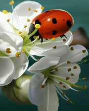 Afbeelding in Gallery-weergave laden, Diamond Painting - Lieveheersbeestje en bloemen dieren, Diamond Painting Dieren, bloemen