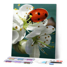 Afbeelding in Gallery-weergave laden, Diamond Painting - Lieveheersbeestje en bloemen dieren, Diamond Painting Dieren, bloemen