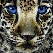 Afbeelding in Gallery-weergave laden, Diamond Painting - Luipaard met blauwe ogen dieren, Diamond Painting Dieren, luipaarden