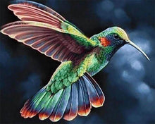 Afbeelding in Gallery-weergave laden, Diamond Painting - Kolibrie in de nacht dieren, Diamond Painting Dieren