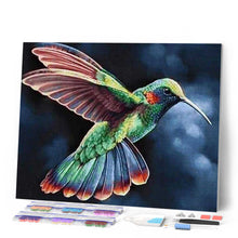 Afbeelding in Gallery-weergave laden, Diamond Painting - Kolibrie in de nacht dieren, Diamond Painting Dieren