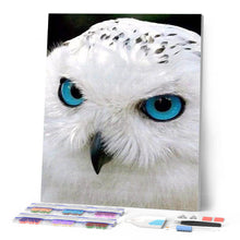Afbeelding in Gallery-weergave laden, Diamond Painting - Uil met blauwe ogen dieren, Diamond Painting Dieren