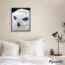 Afbeelding in Gallery-weergave laden, Diamond Painting - Uil met blauwe ogen dieren, Diamond Painting Dieren