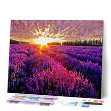Afbeelding in Gallery-weergave laden, Diamond Painting - Lavendelveld