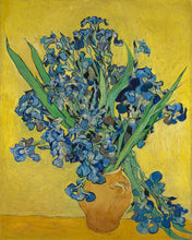 Afbeelding in Gallery-weergave laden, Diamond Painting - Vaas met irissen - Van Gogh