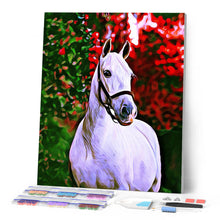 Afbeelding in Gallery-weergave laden, Diamond Painting - Paard en gekleurde achtergrond 40x50cm reeds ingelijst