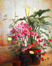 Afbeelding in Gallery-weergave laden, Diamond Painting - Zijkant van een serre - George Cochran Lambdin 40x50cm reeds ingelijst