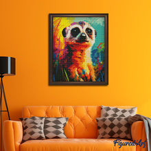 Afbeelding in Gallery-weergave laden, Diamond Painting - Kleurrijke Abstracte Stokstaartje 40x50cm reeds ingelijst