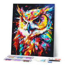 Afbeelding in Gallery-weergave laden, Diamond Painting - Kleurrijke Abstracte Uil