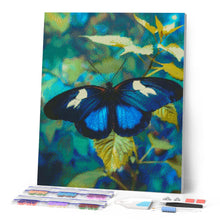 Afbeelding in Gallery-weergave laden, Diamond Painting - Heliconius Cydno Vlinder