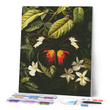 Afbeelding in Gallery-weergave laden, Diamond Painting - Heliconius Erato Vlinder