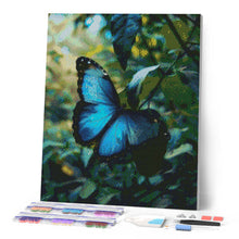 Afbeelding in Gallery-weergave laden, Diamond Painting - Blauwe Morpho Vlinder