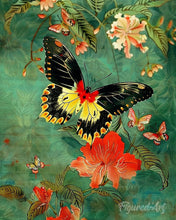 Afbeelding in Gallery-weergave laden, Diamond Painting - Troides Minos Vlinder reeds ingelijst