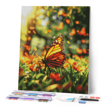 Afbeelding in Gallery-weergave laden, Diamond Painting - Vlinder in de Weide