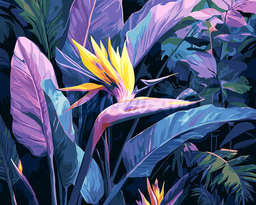 Diamond Painting - Paradijsvogel