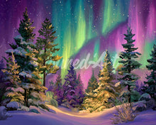 Afbeelding in Gallery-weergave laden, Diamond Painting - Aurora Woud