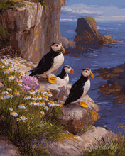 Afbeelding in Gallery-weergave laden, Diamond Painting - Papegaaiduiker zonsondergang kliffen