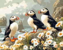 Afbeelding in Gallery-weergave laden, Diamond Painting - Papegaaiduiker in het madeliefjesveld